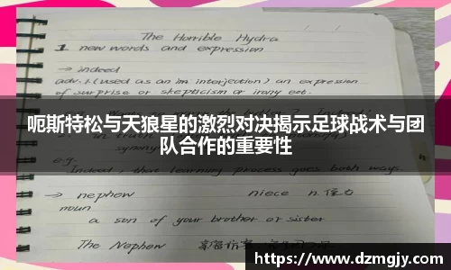 呃斯特松与天狼星的激烈对决揭示足球战术与团队合作的重要性